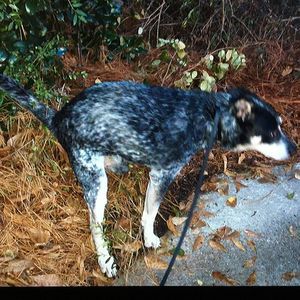 Meet your Posher, Jgl